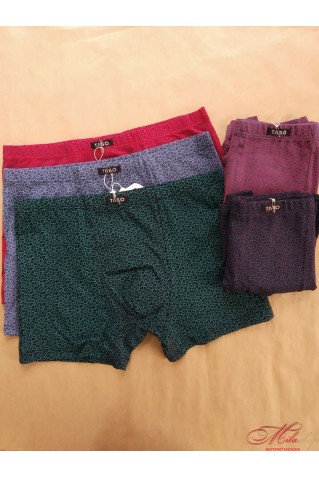 Хлопковые мужские боксеры Taso 5668